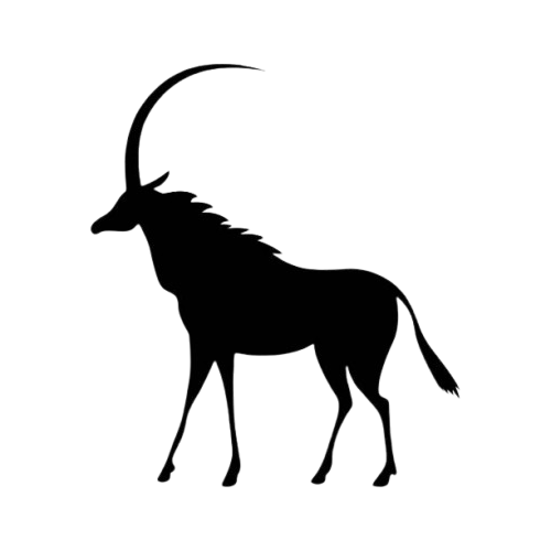 istockphoto-2183306566-612x612-removebg-preview